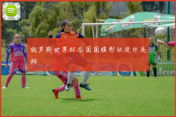俄罗斯世界杯各国国旗形状设计亮相